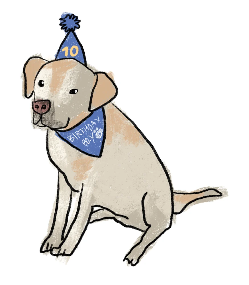 Doodle portrait of a birthday dog wearing a blue party hat and bandana