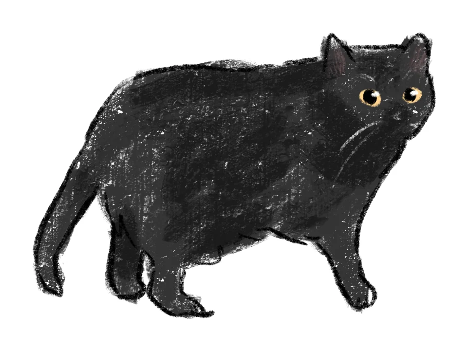 Doodle portrait of a round black cat