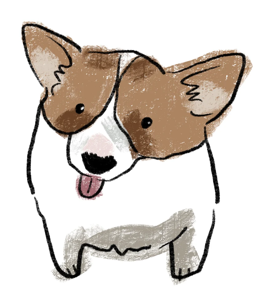 Goofy doodle of a corgi with its tongue out