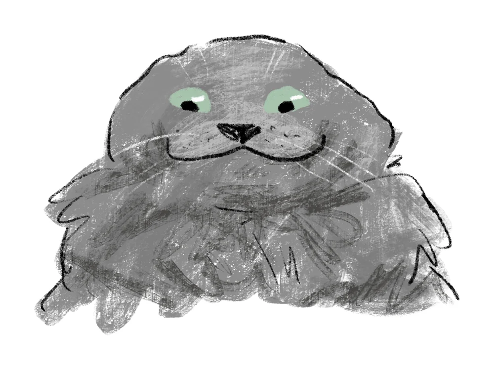 Doodle portrait of a very fluffy gray cat