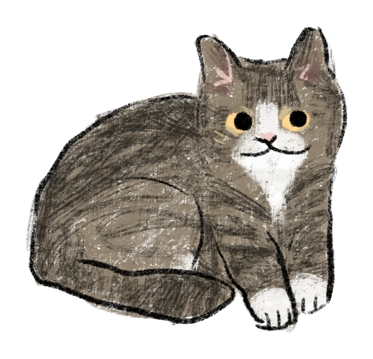 Doodle portrait of a gray and white cat