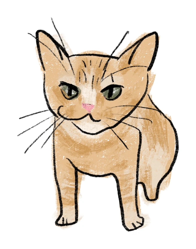 Doodle portrait of an orange cat