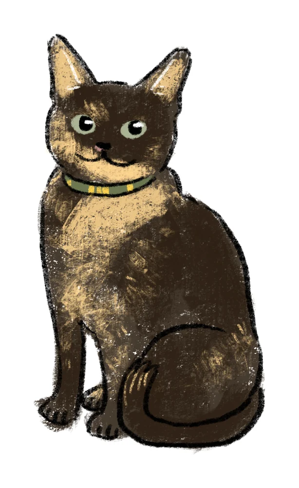 Doodle portrait of a tortoiseshell cat